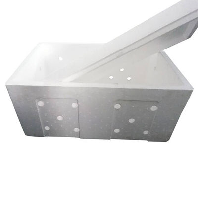 EPS 폼 곰팡이 주문 정밀 일관성 제품 제조